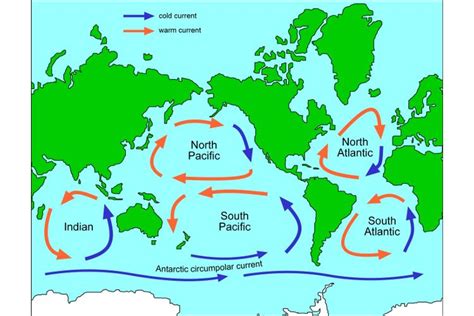 Map of ocean gyres | Map, Great pacific garbage patch, Geography lessons