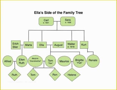 Free Family Tree with Siblings Template Of Family Tree Template with Siblings ...