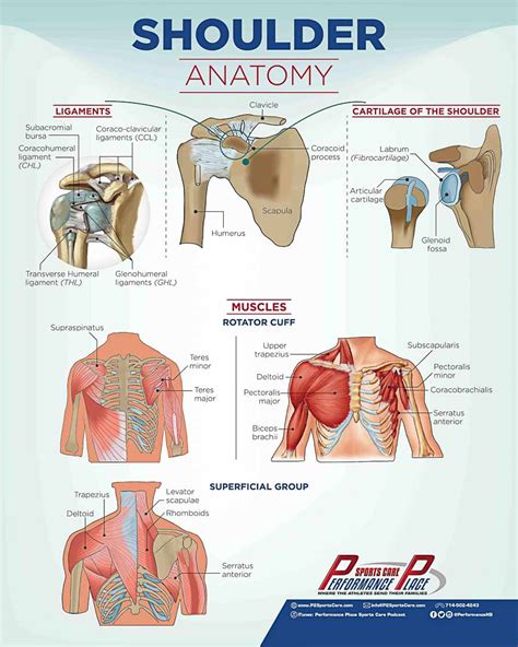 Shoulder Pain-Causes, Symptoms, Treatments