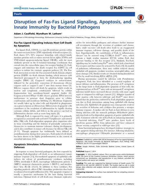 (PDF) Disruption of Fas-Fas Ligand Signaling, Apoptosis, and Innate ...