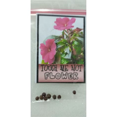 Touch Me Not Pink Seeds for Planting (8 seeds) FLOWER | Shopee Philippines