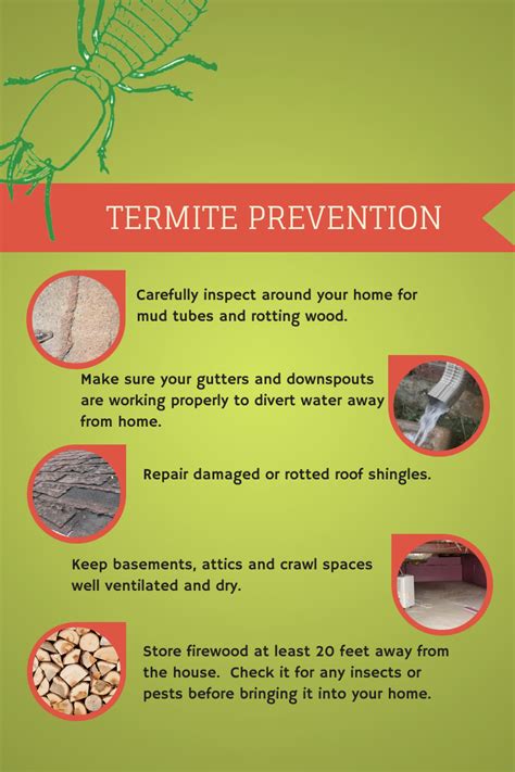 Some Termite Prevention Tips... Bug Control, Insect Control, Termite Pest Control, Wood Termites ...