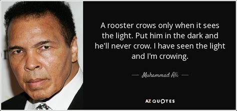 TOP 25 ROOSTERS QUOTES (of 54) | A-Z Quotes