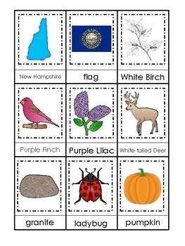 New Hampshire State Symbols themed 3 Part Matching Game. Preschool Card ...