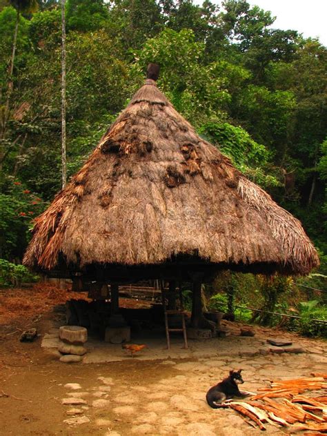 Native Ifugao Hut Royalty Free Stock Image - Image: 3904216