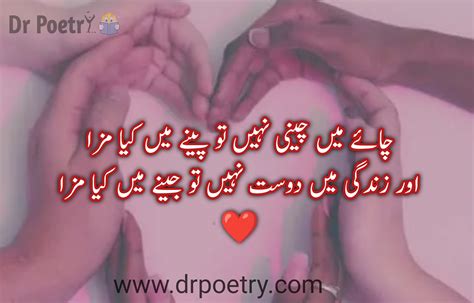 Best Friendship Poetry in Urdu | Dosti Poetry in Urdu