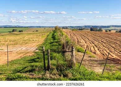 2,312 Peanuts Plantation Images, Stock Photos & Vectors | Shutterstock