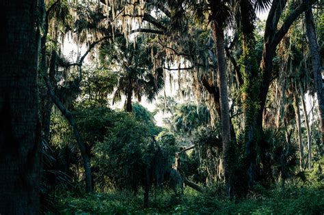 Palm Point — Friends of Nature Parks