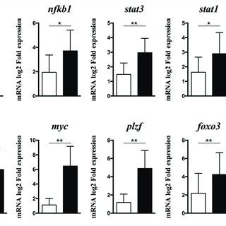 | Gene expression levels of main transcription factors described as ...