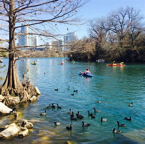 A winter day on Lady Bird Lake, Austin, Tx [2048x2036] : r/TexasViews