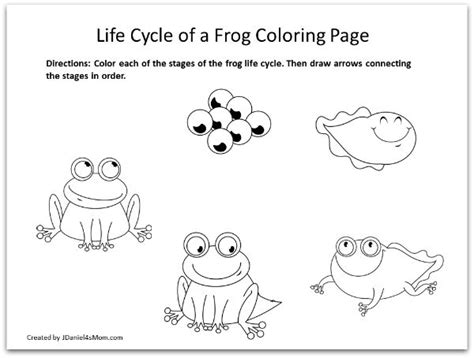 Frog Coloring Pages and Learning Activities- Life Cycle of a Frog ...