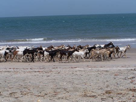 Banjul - Wikitravel