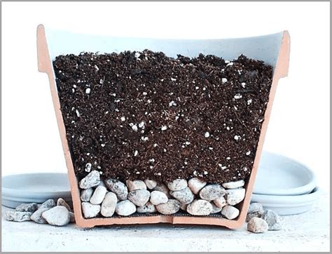 Why Adding Rocks in Pots to Improve Drainage is Dumb | Hort Zone