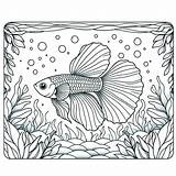 Underwater Guppy Coloring Page  4 Free Printable Pages sketch template