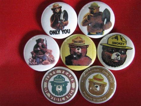 SMOKEY THE BEAR FOREST FIRE PREVENTION PINBACKS BADGES | eBay | Smokey the bears, Smokey, Bear ...