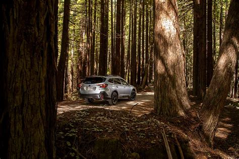 Subaru Outback 2022 vs Subary Forester 2022 | Subaru Montréal