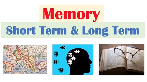 Types of Memory | Short Term & Working Memory, Long Term Memory ...