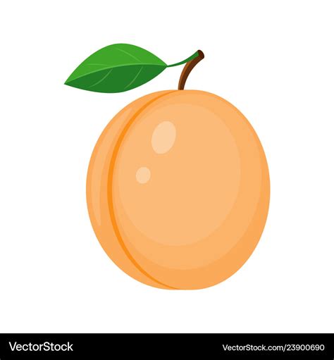 Colorful cartoon apricot Royalty Free Vector Image