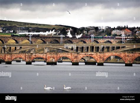 Tornado steam train at Berwick Stock Photo - Alamy