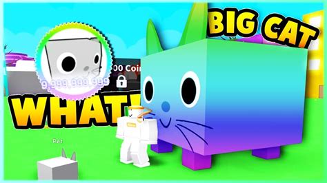 Huge Cat Pet Simulator X - Margaret Wiegel