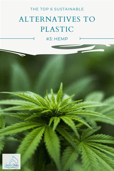 Why Hemp Plastic will be the next Blockbuster