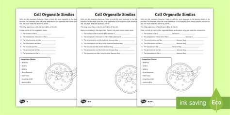 What is an Animal Cell? | Definition and Functions | Twinkl