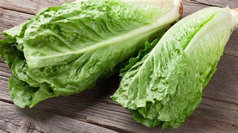 5 Interesting Types of Lettuce