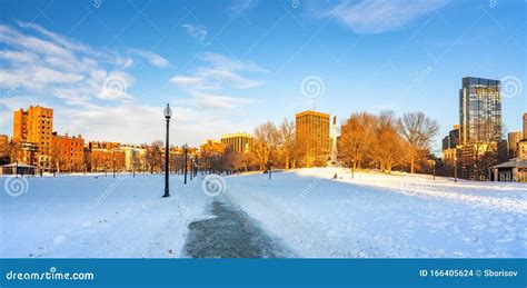 Boston common at winter stock photo. Image of sunny - 166405624