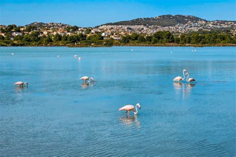 Things to see in Calpe, Spain - Travel Infused Life