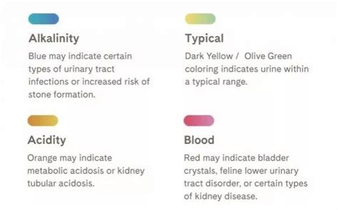 What do each of the colors mean? – Help | PrettyLitter