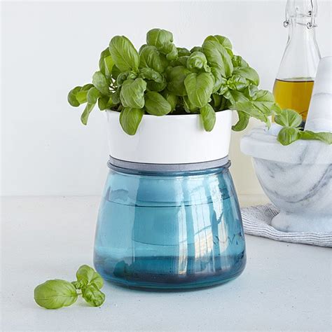 Self-Watering Kitchen Herb Pot | Indoor Herb Planter, Herb Container Garden | UncommonGoods ...