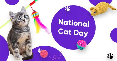 It’s National Cat Day on 29.10 | Read More on Mecca Bingo