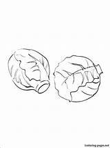 brussels sprout Printable And coloring Pages  Faca Gif sketch template