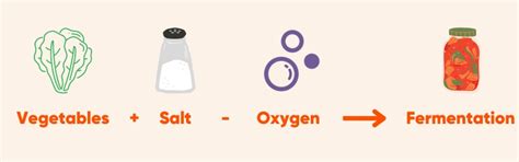 How to Ferment Vegetables (Lacto-Fermentation) | Revolution Fermentation