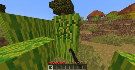 6 Ways to Find Melon Seeds in Minecraft - wikiHow