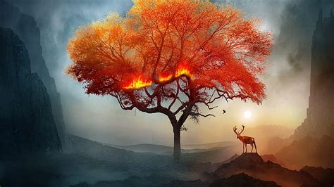 Burning tree, deer, autumn, cerb, luminos, orange, burning, toamna, sunset, fire, HD wallpaper ...