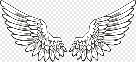 Angel Wings, Angel Wings Vector, Angel Wings Clipart, Black Angel Wings, Chicken Wings ...