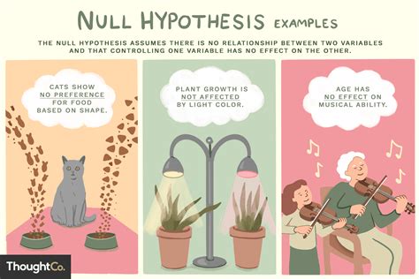 How to Formulate a Null Hypothesis (With Examples)