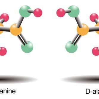 11. L-and D-stereoisomers of alanine. | Download Scientific Diagram