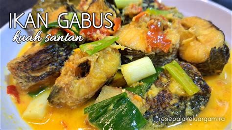 IKAN GABUS KUAH SANTAN simple dan enak - YouTube