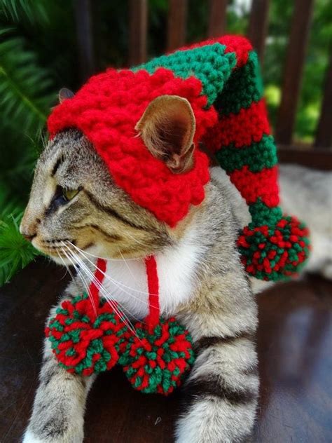 Kittens Christmas Outfits - 20 Christmas Costumes For Cats