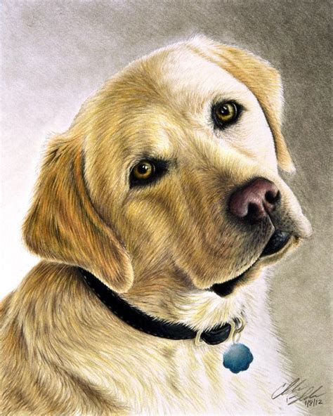 40 Realistic Animal Pencil Drawings | Dog paintings, Dog art, Pencil ...