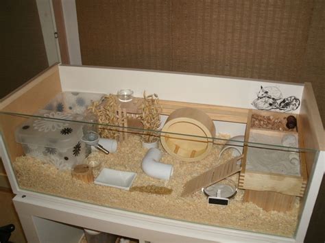 hamster cage | Hamster diy cage, Hamster toys, Hamster diy