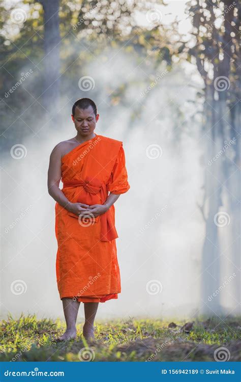 Novices Practice Meditation in the Forest by Walking Stock Image - Image of bagan, forest: 156942189