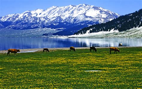 11 Days Best Xinjiang Landscape Tour to Sayram Lake