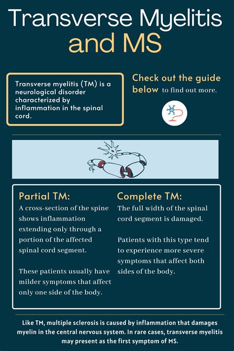 Transverse Myelitis and MS | Multiple Sclerosis News Today