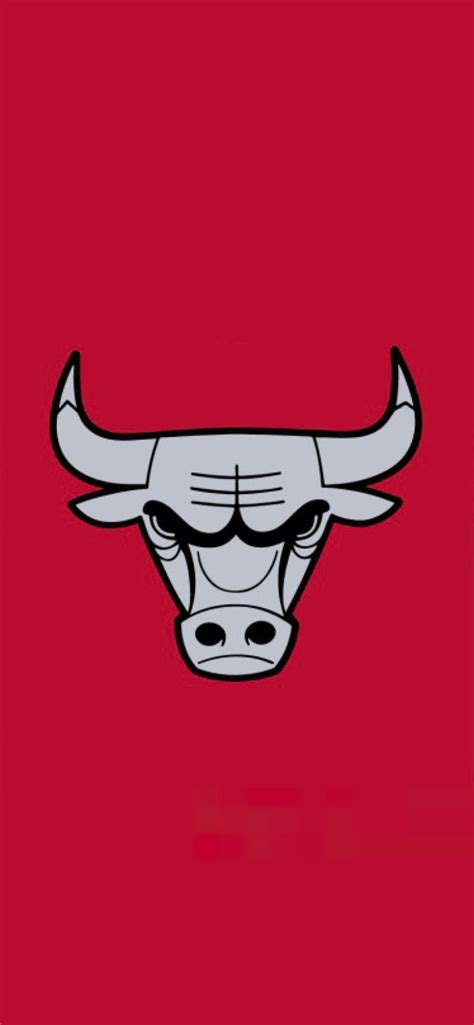 77 Chicago Bulls 2013 Christmas in 2022 | Chicago bulls logo, Chicago ...