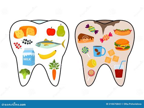 Healthy and Bad Tooth. Good and Bad Food Stock Vector - Illustration of human, hygiene: 210675843