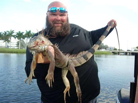 Ultimate Guide to Iguana Hunting Florida