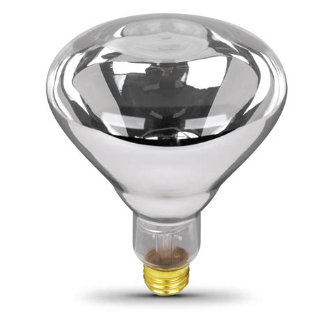 250-Watt Clear BR40 Dimmable Incandescent 120-V Infrared Heat Lamp Light 1-Bulb 17801474961 | eBay